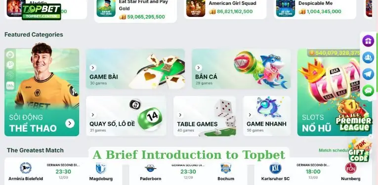 A Brief Introduction to Topbet